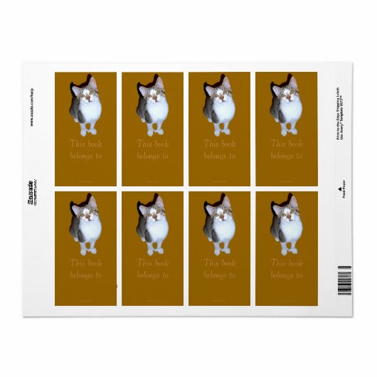 Étiquette Plaque "Hemming" Feral Kitten (Feuille entière)