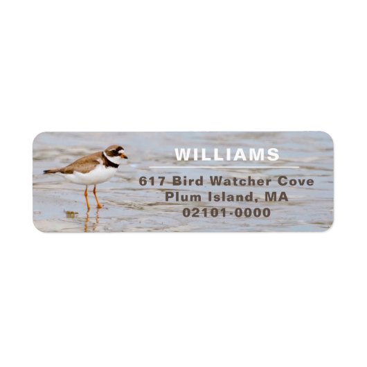 Étiquette Plover Shore Bird Adresse de retour (Devant)