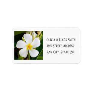Étiquette Plumeria blanche tropicale - Nouveaux débuts - Mar