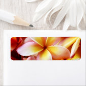 Étiquette Plumeria Frangipani Hawaii Flower Customized Blank (En situation)