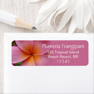Étiquette Plumeria rose Frangipani Fleur Adresse tropicale