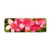 Étiquette Plumerias (Devant)