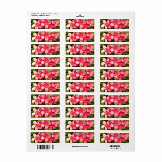 Étiquette Plumerias (Feuille entière)