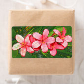 Étiquette Plumerias rose (En situation)