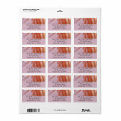 Étiquette Plumes de Flamant rose dans les tons roses (Feuille entière)