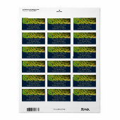 Étiquette Plumes de paon II Nature colorée (Feuille entière)