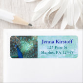 Étiquette Plumes de paon Turquoise Adresse de retour Étiquet (En situation)