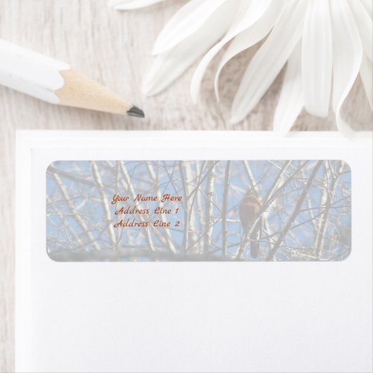 Étiquette Plus haut (En situation)