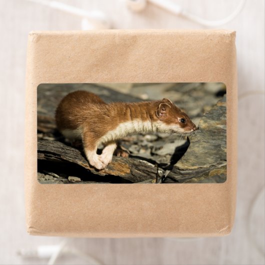 Étiquette Poil de musculation (En situation)