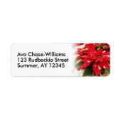 Étiquette Poinsettias Festive Rouge Blanc Floral (Devant)