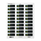 Étiquette Point panorama du mont Rainier (Feuille entière)