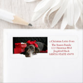 Étiquette Pointeur allemand à pois courts @ cheminée (En situation)