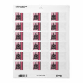 Étiquette Points vintages Cage rose et noir Damas (Feuille entière)