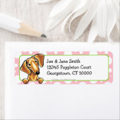 Étiquette Pois rose Dachshund rouge lisse (En situation)