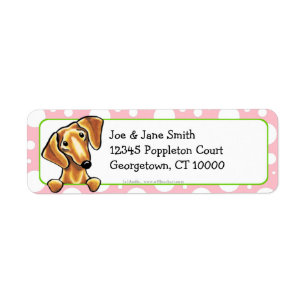 Étiquette Pois rose Dachshund rouge lisse