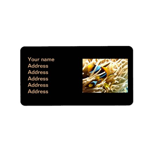 Étiquette Poisson clown (Devant)