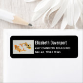 Étiquette Poisson Koi Or élégant (En situation)