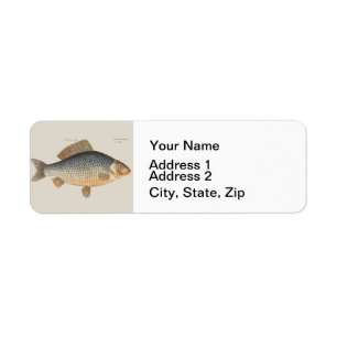 Étiquette Poisson+oeuvre d'art+conception+pêche+poissonneux