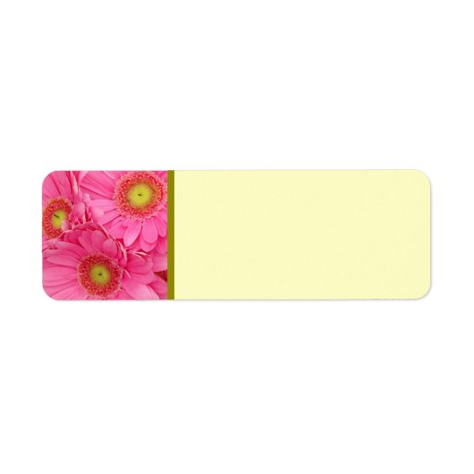 Étiquette Poissons de Gerber rose (Devant)