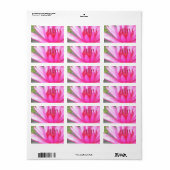 Étiquette Pond Lotus Tranquillité Namaste Adresse blanche (Feuille entière)