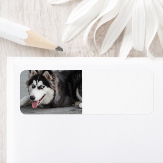 Étiquette ponte sibérienne (En situation)