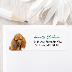 Étiquette Poodle Chien Papillon Abricot Adresse de Retour Me