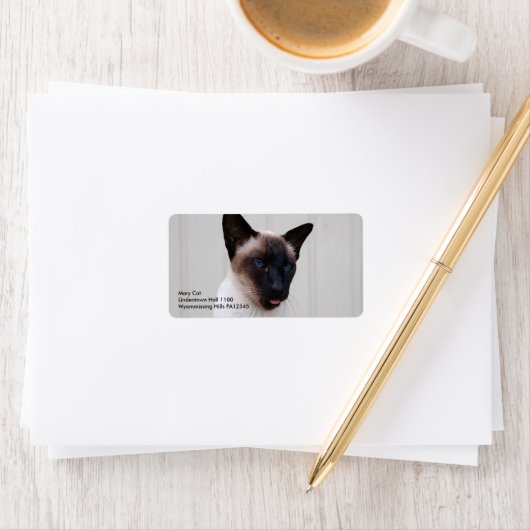 Étiquette Portrait de chat Siamese (En situation)