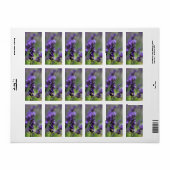 Étiquette Portrait de lavande (Feuille entière)