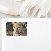Étiquette Portrait de Léopard (En situation)