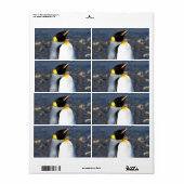 Étiquette Portrait de pingouin (Feuille entière)