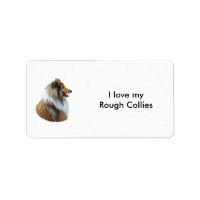 Portrait de Rough Collie