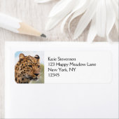 Étiquette Portrait de tête léopard (En situation)