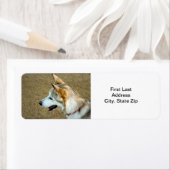 Étiquette Portrait Husky (En situation)