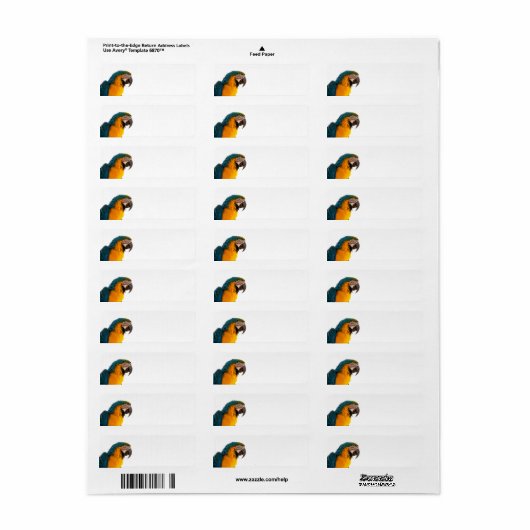 Étiquette Post-it Notes perroquet (Feuille entière)