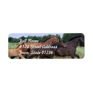 Étiquette postale d'adresse de retour de cheval