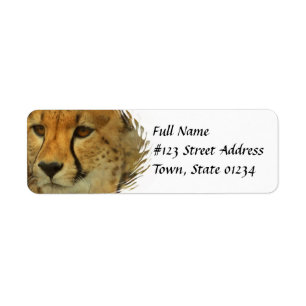 Étiquette postale d'adresse de retour de guépard