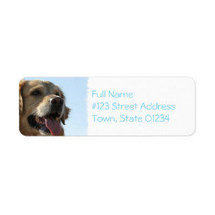 Étiquette postale de chien de golden retriever