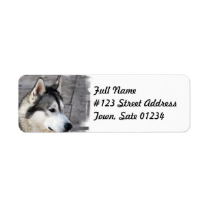 Étiquette postale de chien de Malamute