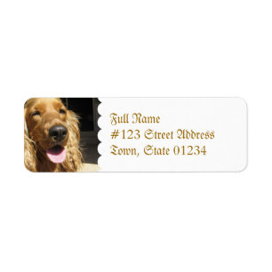 Étiquette postale de chien d'épagneul
