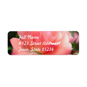 Étiquette postale de rose de rose