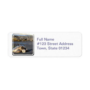 Étiquette postale de tortue de mer