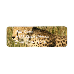 Étiquette postale de vagabondage de guépard