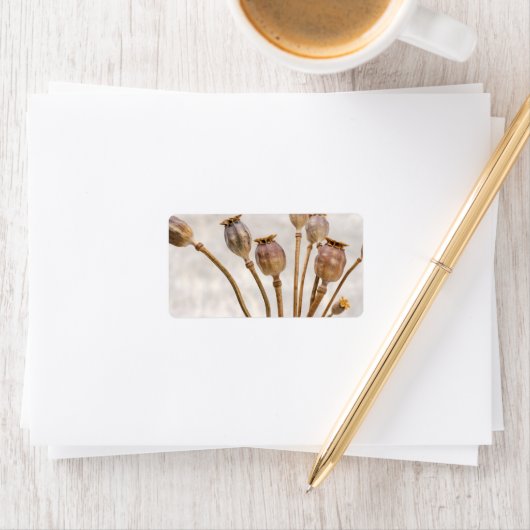 Étiquette Pots de paille de pavot (En situation)