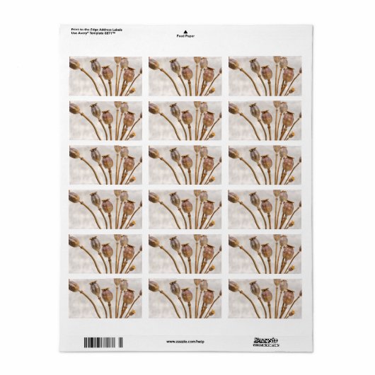 Étiquette Pots de paille de pavot (Feuille entière)