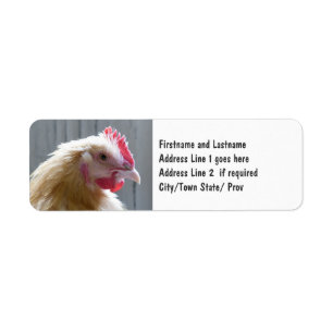 Étiquette Poulet de couleur chamois Roo d'héritage