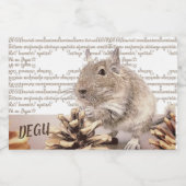 Étiquette Pour Bocaux デグーの入れ物　　◈Rodent◈ (Étiquettes simples)