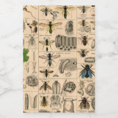 Étiquette Pour Bocaux Abeille Insecte Bug Wasp Histoire naturelle abeill (Étiquettes simples)