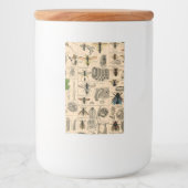 Étiquette Pour Bocaux Abeille Insecte Bug Wasp Histoire naturelle abeill (Devant)