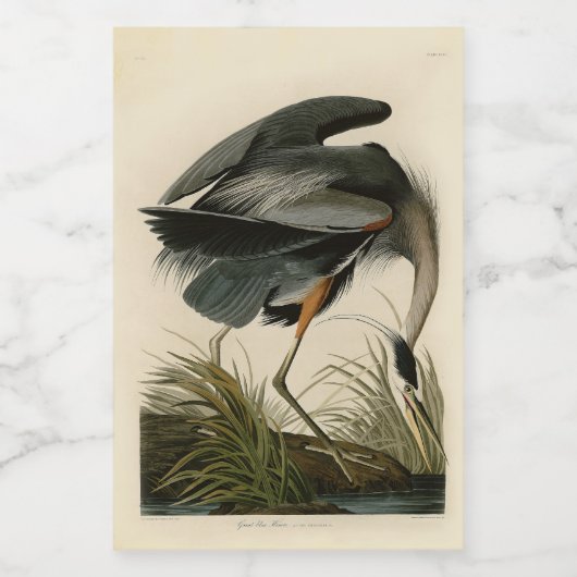 Étiquette Pour Bocaux Audubon Great Blue Heron Marsh Bird (Étiquettes simples)
