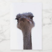 Étiquette Pour Bocaux autruche (Étiquettes simples)